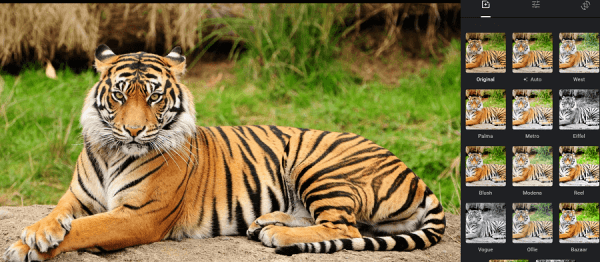 Google Photo editor