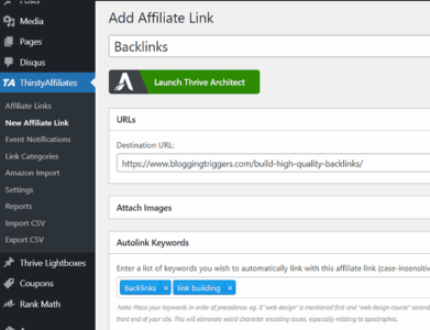 ThirstyAffiliates Review: Features, Pricing, Pros & Cons 11 internal-linking
