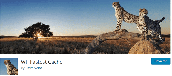 7 Best WordPress Caching Plugins to Boost Your Website Speed 5 wp-fastest-cache