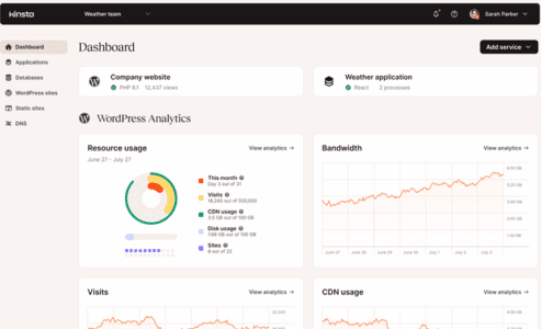 Kinsta dashboard Kinsta dashboard
