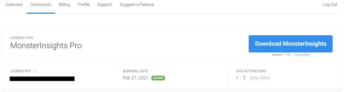 MonsterInsights-pro MonsterInsights pro