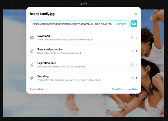 pcloud security
