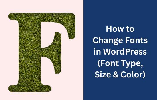 How to Change Fonts in WordPress