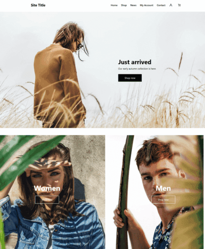 ecommerce theme